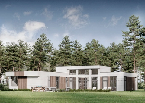 Single-storey home among firs