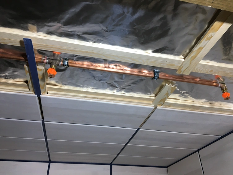 Ceiling services